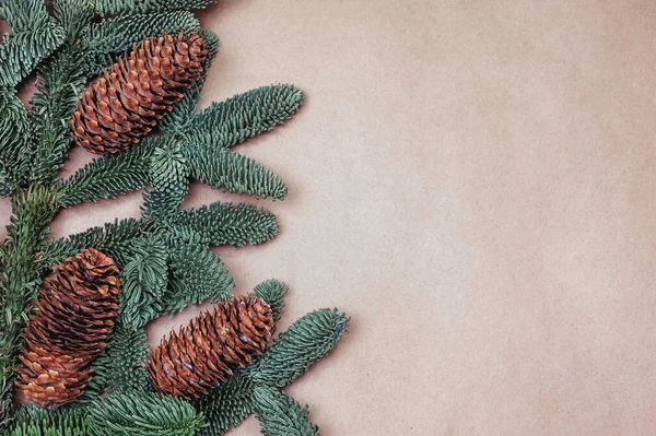Fir branches with cones on the background of craft paper.
