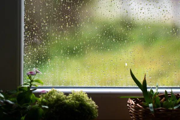 雨 — 图库照片