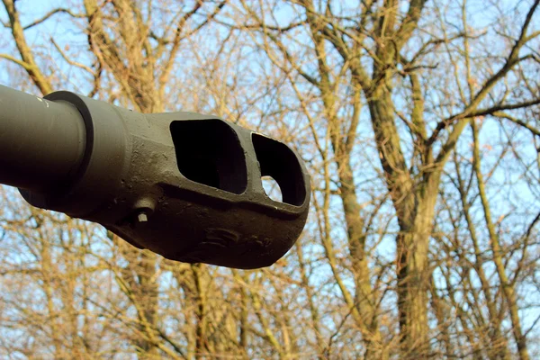 arka plan ağaç üzerinde bir tank varil.