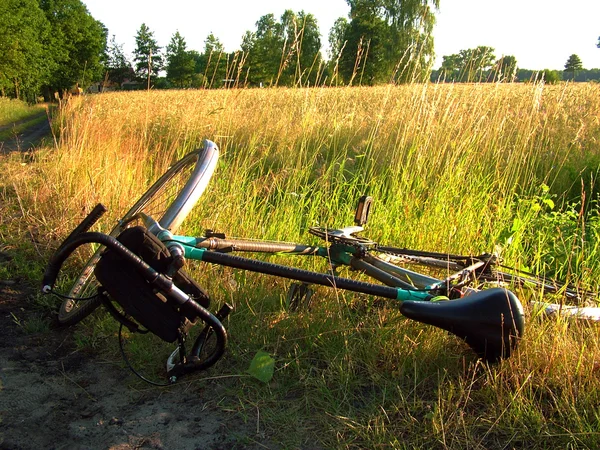 Eski bisiklet kolları.