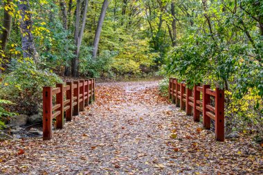 Büyük Mavi Turna dalda