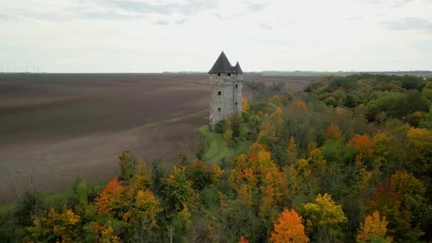 森の中の古いお城の塔. — ストック動画