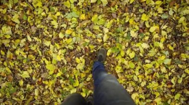 Ormanda sonbahar yaprakları arasında koş