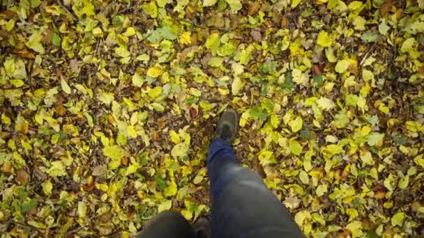 Attraversare il fogliame autunnale nella foresta — Video Stock
