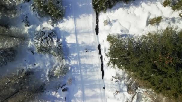 겨울에 꿈 속에서 걷는 사람 위를 나는 드론 — 비디오