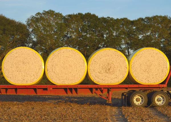 Round Cotton Modules Loaded on Flatbed — Stock Photo, Image
