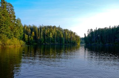Mavi sakin göl ve açık mavi gökyüzü. Kıyılar boyunca yeşil çam ormanı ve sarı huş ağaçları var..