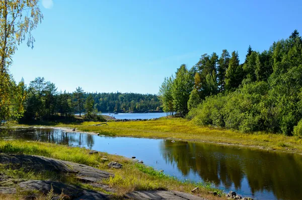 Leśny Krajobraz Jeziora Rozlewiska Spokojną Wodą Pogodny Słoneczny Dzień Zielony — Zdjęcie stockowe
