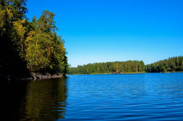 Blue Calm Lake Blue Clear Sky Shores Green Pine Forest — Stock Photo, Image