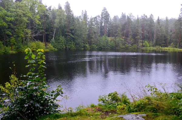 Karelischer Wald Ufer Des Binnensees Bewölkter Ruhiger Tag Horizontales Herbstfoto — Stockfoto