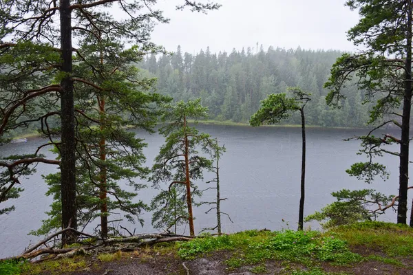 Vista Penhasco Alto Floresta Karelian Nas Margens Lago Inland Dia — Fotografia de Stock