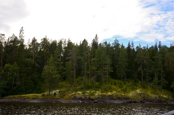 Hermoso Bosque Lago Karelia Foto Horizontal Naturaleza Tranquila Cielo Tranquilo —  Fotos de Stock