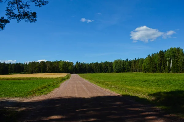 Ein Feldweg Inmitten Von Getreidefeldern Einem Wald Einem Klaren Sonnigen — Stockfoto