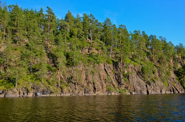 Blue River Blue Clear Sky Shores Green Pine Forest Yellow — Stock Photo, Image