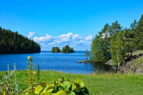 Calm Lake Islets Water Green Forest Stone Shore Clear Blue — Stock Photo, Image