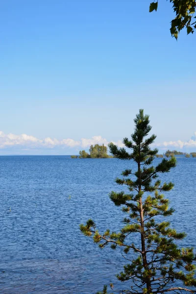 Bela Natureza Kareliana Verão Blue Lake Ladoga Dia Claro Relaxamento — Fotografia de Stock