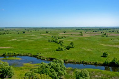 Güneşli yaz gününde nehir ve mavi gökyüzü olan yeşil alan. Kırsal bir arazinin yatay fotoğrafı
