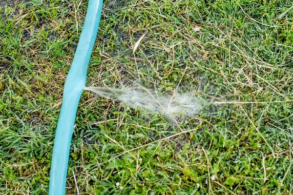 庭でホースバースト ゴム管から草の中への水の漏れ — ストック写真