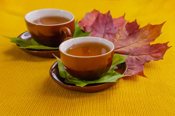 Braune Tassen Mit Tee Auf Herbst Ahornblättern Auf Gelbem Strickhintergrund — Stockfoto