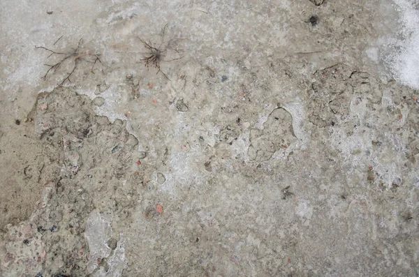 Ice Gray Concrete Floor Winter Background Texture — Stock Photo, Image