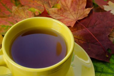 Renkli akçaağaç yaprakları üzerinde sıcak çay ile sarı bardak. Samimi sonbahar konsepti