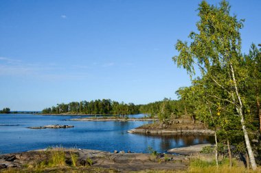 Ladoga Gölü 'nün granit sahili, mavi gökyüzü ve sakin su manzarası. Güzel ağaçlar, yatay seyahat fotoğrafları.