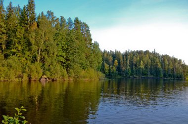 Mavi sakin göl ve açık mavi gökyüzü. Kıyılar boyunca yeşil çam ormanı ve sarı huş ağaçları var..