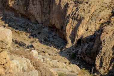 Rock hyrax (Procavia capensis) doğada, Ein Gedi Ulusal Rezervi, Judaean Çölü, Güney İsrail. Daman güneşli bir gün kayalıklarda uzanır vadideki kayaların arasında.