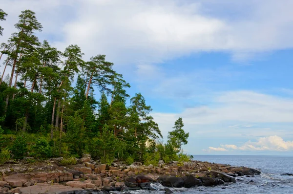 Les Pins Poussent Sur Les Rochers Bord Lac Ciel Bleu — Photo