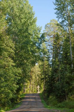 Mavi gökyüzüne karşı toprak yolu olan bir yaz ormanının dikey fotoğrafı.