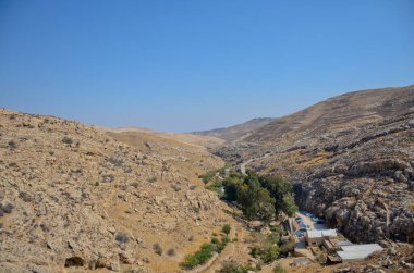 Wadi Kelt ya da Nahal Prat, İsrail 'in Yahudi Çölü' nde. Sonbaharın başlarında doğa koruma alanında. Seçici odak.
