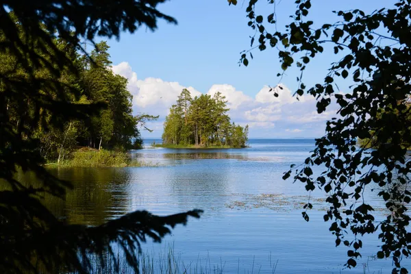 Una Pequeña Isla Con Vegetación Lago Cielo Azul Día Claro — Foto de Stock