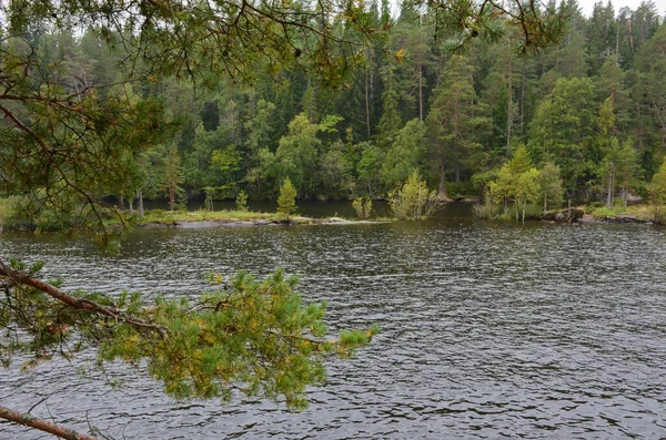 Hermoso Lago Del Bosque Día Nublado Karelia Calma Agua Oscura — Foto de Stock