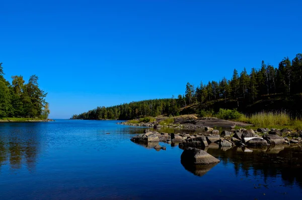 Blue Shallow River Larger Stones Blue Clear Sky Banks Pine — Stock Photo, Image