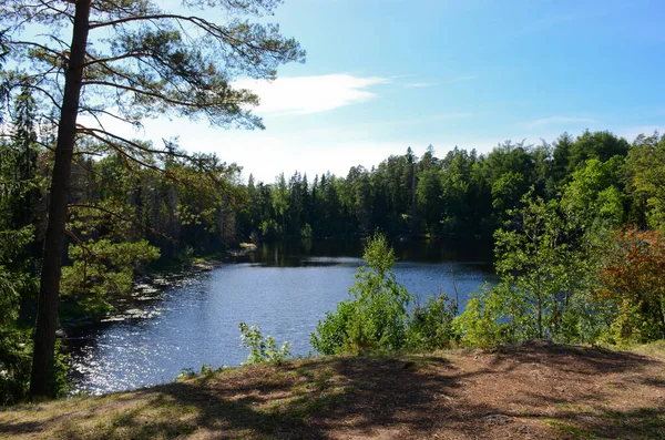 Meer Het Noordelijke Bos Een Heldere Zonnige Dag Karelische Natuur — Stockfoto