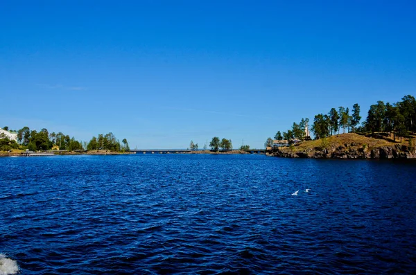 Prachtig Landschap Groen Bos Een Heldere Dag Meeuwen Donker Water — Stockfoto