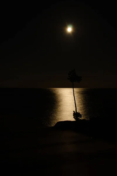 Holdfényes Ösvény Fekete Éjszakán Nyugodt Vízen Sziklák Között Egy Fiatal — Stock Fotó