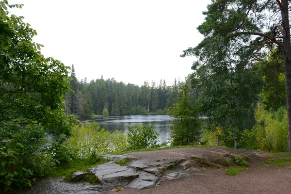 Lindo Lago Interior Com Floresta Costa Dia Calmo Nublado Outono — Fotografia de Stock