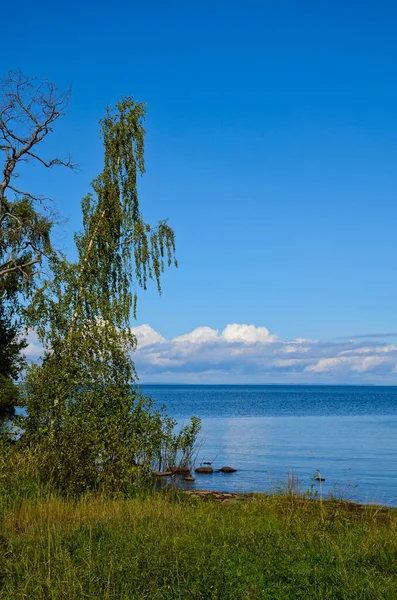 穏やかな湖の海岸に緑の森の美しい風景 澄んだ青い空に白い雲 垂直方向の写真 旅行のコンセプト — ストック写真