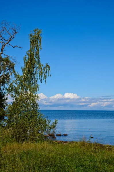 Bela Paisagem Floresta Verde Margem Lago Calmo Nuvens Brancas Céu — Fotografia de Stock