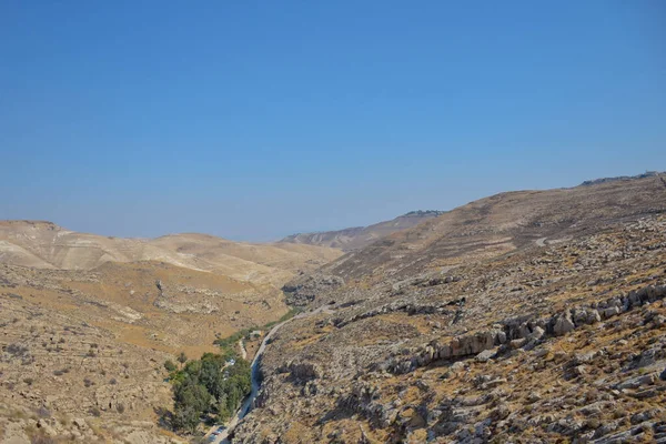 Wadi Kelt Nahal Prat Srail Yahudi Çölü Nde Vadinin Dibindeki — Stok fotoğraf