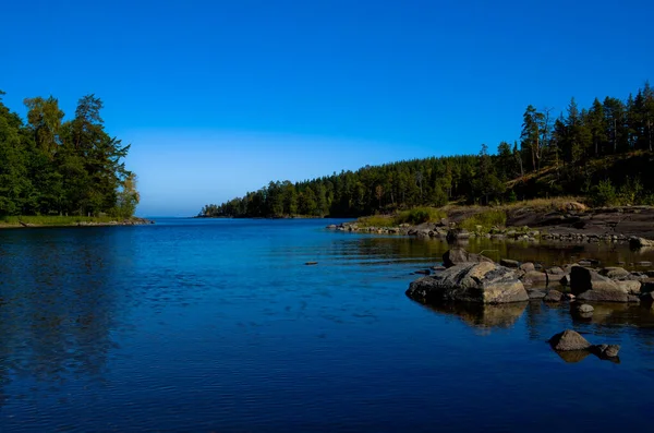 Mavi, daha büyük taşları olan sığ bir nehirdir. Mavi açık gökyüzü. Bir çam ormanının kıyısında.