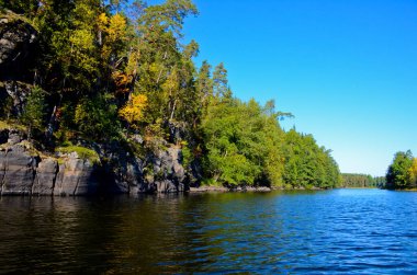 Mavi nehir ve açık mavi gökyüzü. Kıyılar boyunca yeşil çam ormanı ve sarı huş ağaçları vardır. Kayalık sol kıyıda..
