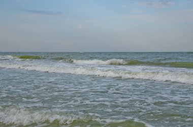 Küçük dalgalar kumlu bir sahilde yuvarlanıyor. Bulutlu bir yaz gününde deniz kıyısı manzarası. Dinlenme konsepti.