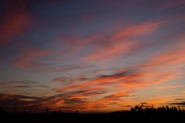 Beautiful colored clouds in rays of the setting sun. Calm summer nature