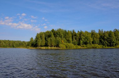 Mavi sakin göl ve açık mavi gökyüzü. Kıyılar boyunca yeşil çam ormanı ve sarı huş ağaçları var..
