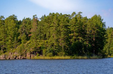 Mavi sakin göl ve açık mavi gökyüzü. Kıyılar boyunca yeşil çam ormanı ve sarı huş ağaçları var..