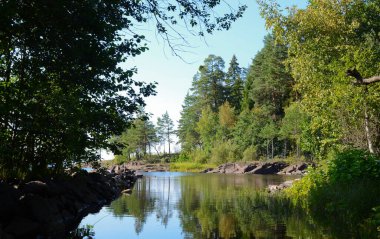 Su deposunun kenarındaki orman, sakin su ve suyun üzerinde yürürken açık gökyüzü..