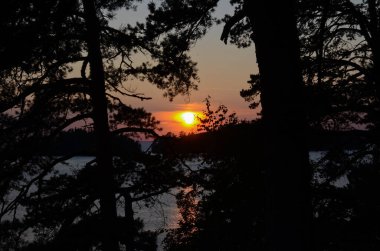 Gölün üzerinde gün batımı, ormanın ağaçlarından geçen sarı güneş. Seyahat ve sağlıklı bir yaşam tarzı..