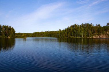 Kenarında yeşil orman olan güzel bir göl manzarası. Mavi gökyüzündeki bulutlar açık bir yaz gününde, sağlıklı yaşam tarzı konsepti.